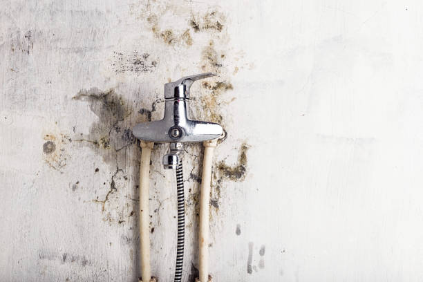 Best Office Mold Removal Services  in Harrisville, UT