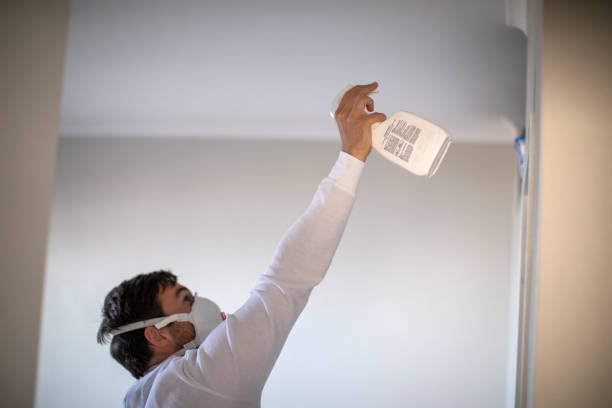 Best Best Mold Removal Companies  in Harrisville, UT