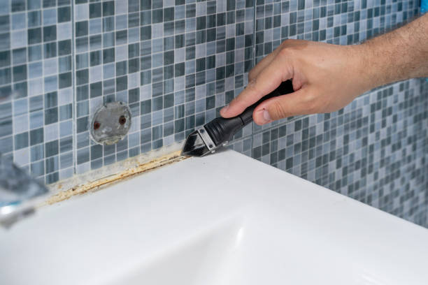 Best Professional Mold Removal  in Harrisville, UT